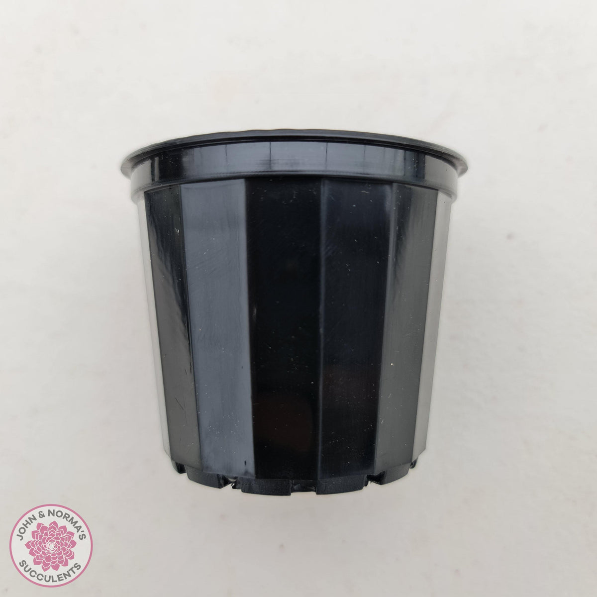 Decorative Pot 73mm Black - QTY 20
