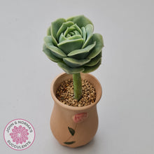 Load image into Gallery viewer, Graptoveria Lovely Rose