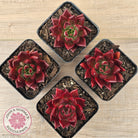 Echeveria 'Red Soul'
