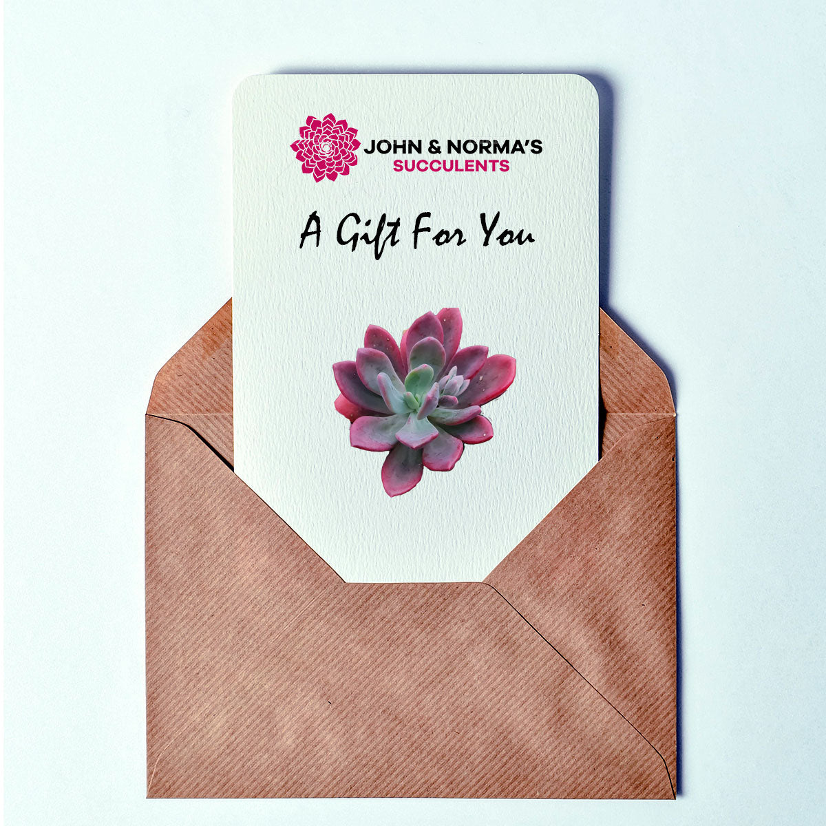 John & Normas Succulents Gift Card