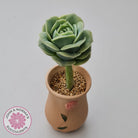 Graptoveria Lovely Rose